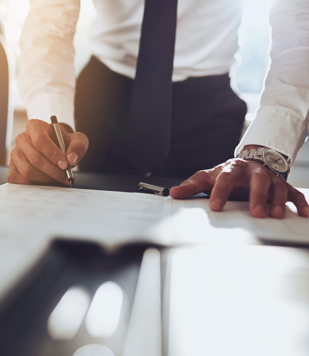 studio-egale-brutti-1